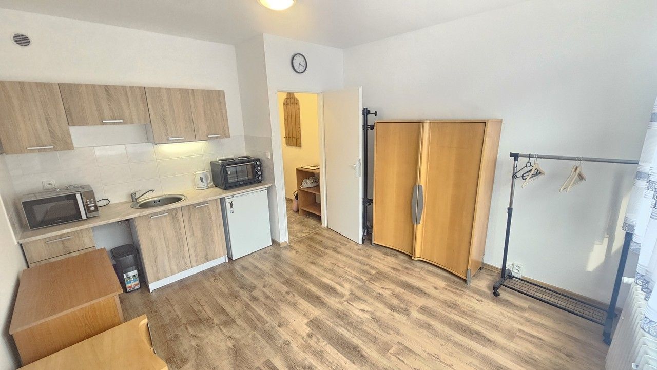Pronájem byt 1+kk - Pod Parkem 2563, Ústí nad Labem Severní Terasa, 19 m² - 5