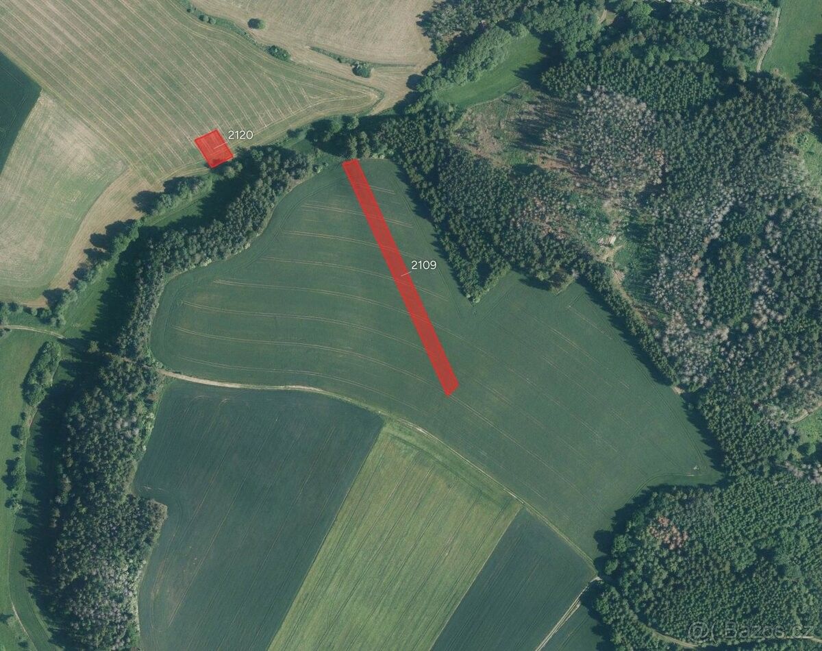 Pozemky pro bydlení, Dolní Loučky, 594 55