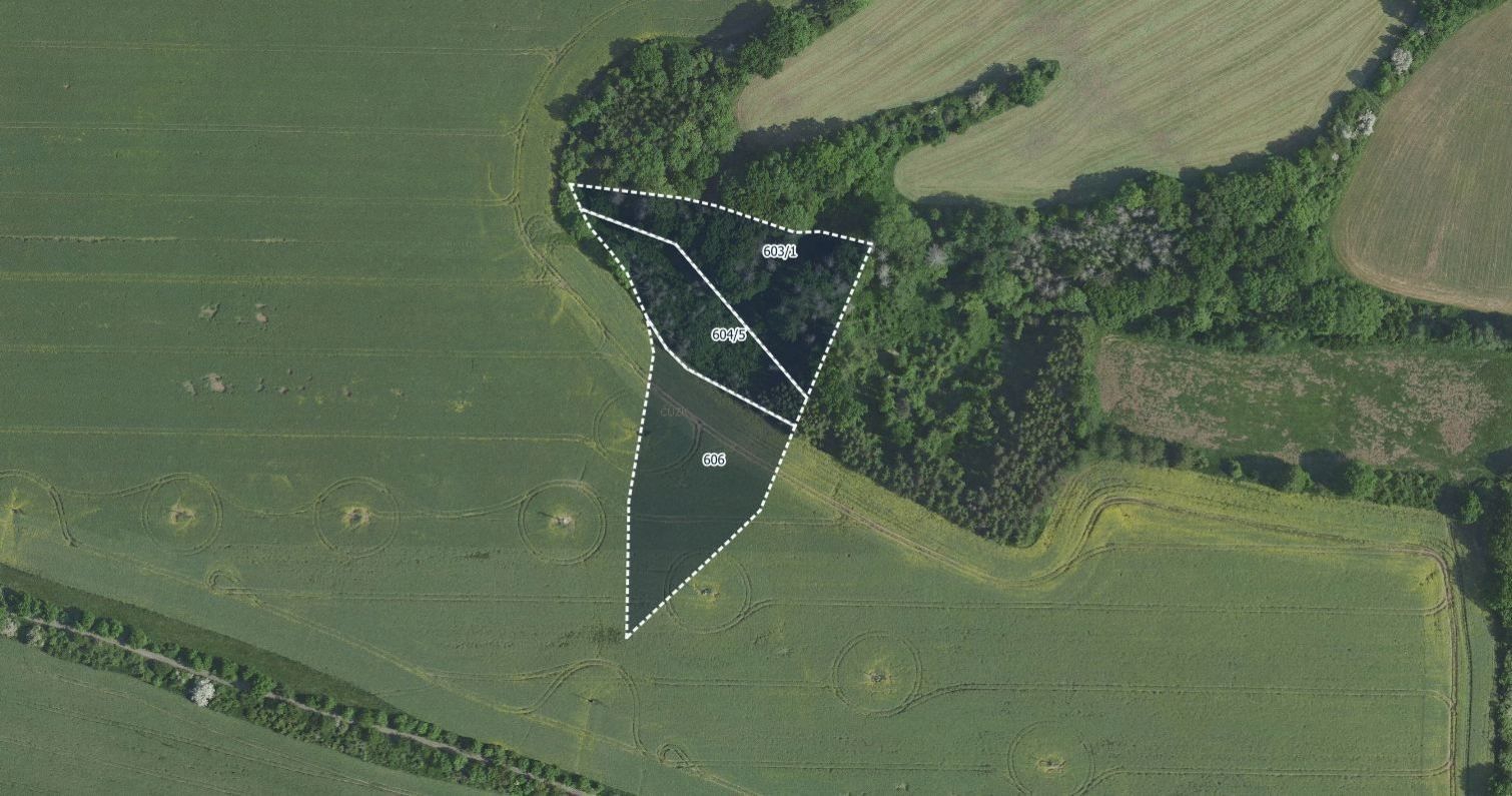 Prodej zemědělský pozemek - Výžerky