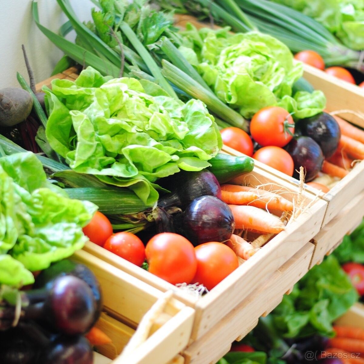 Pronájem zahrada - Mochov, 250 87