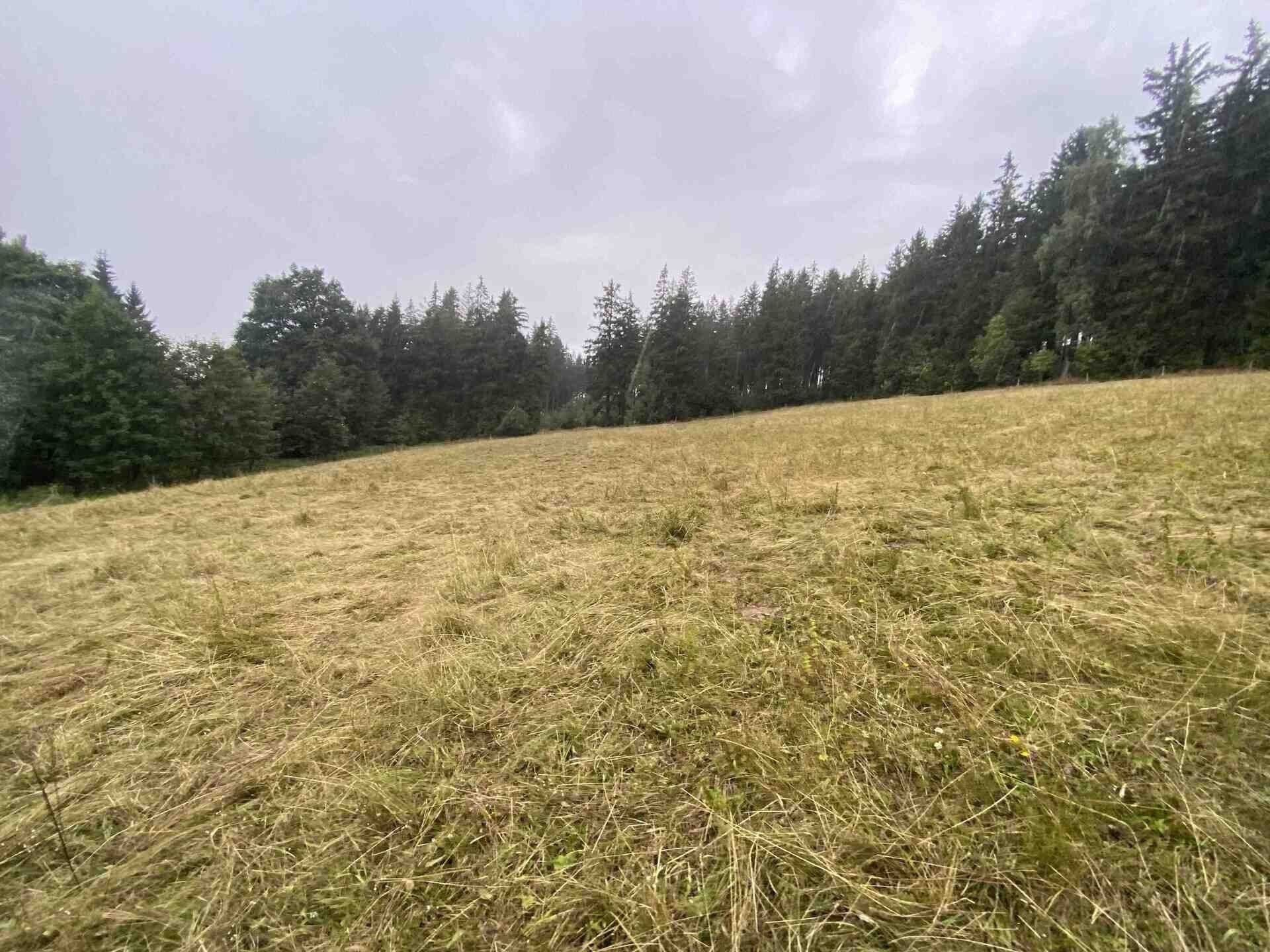 Pozemek · 1 842 m² · Králíky - 4