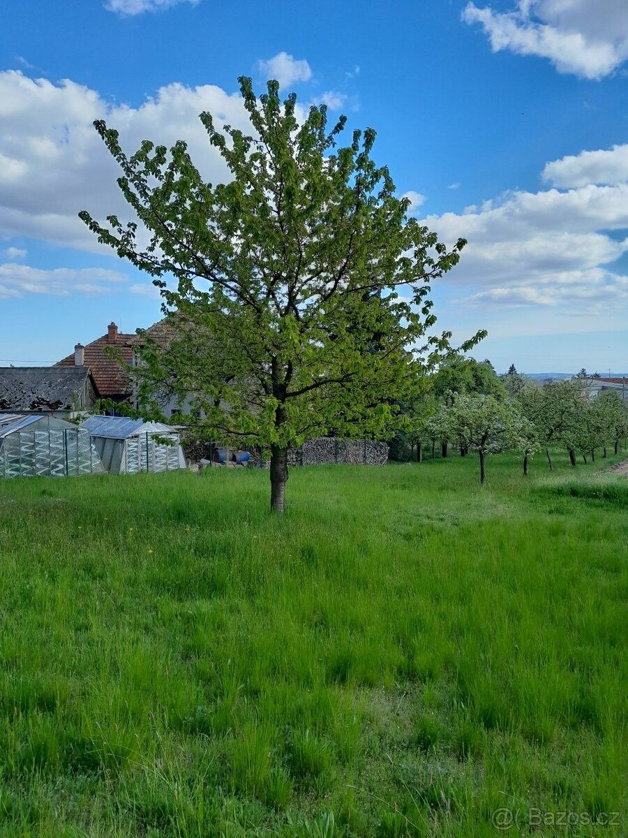 Pronájem zahrada - Rudíkov, 675 05