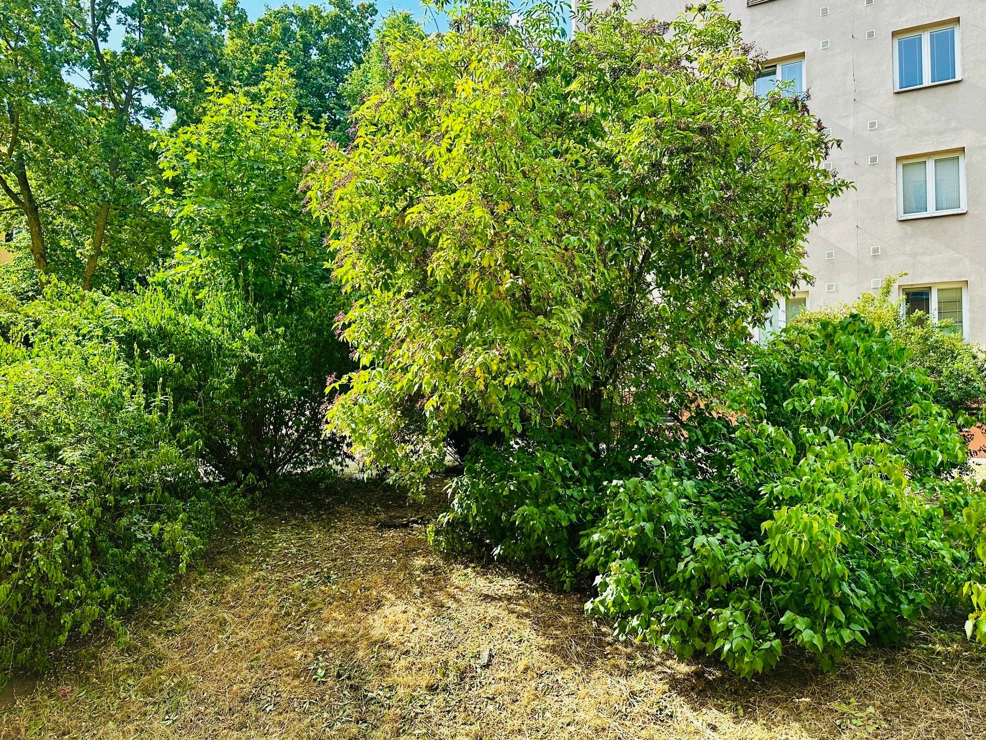 Byt 2+1 · 53 m² · Krupská, Praha - 4