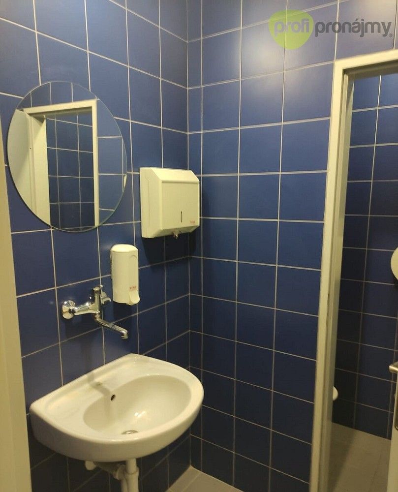Pronájem obchodní prostory - Pelhřimov, Kraj Vysočina, 171 m² - 5