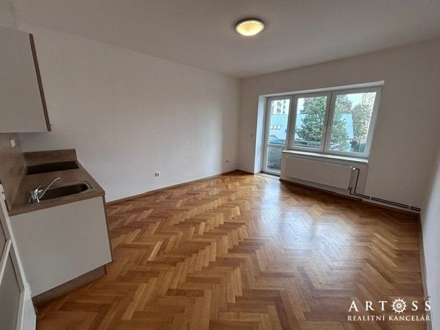 1+kk, Merhautova, Brno, 22 m² - 1