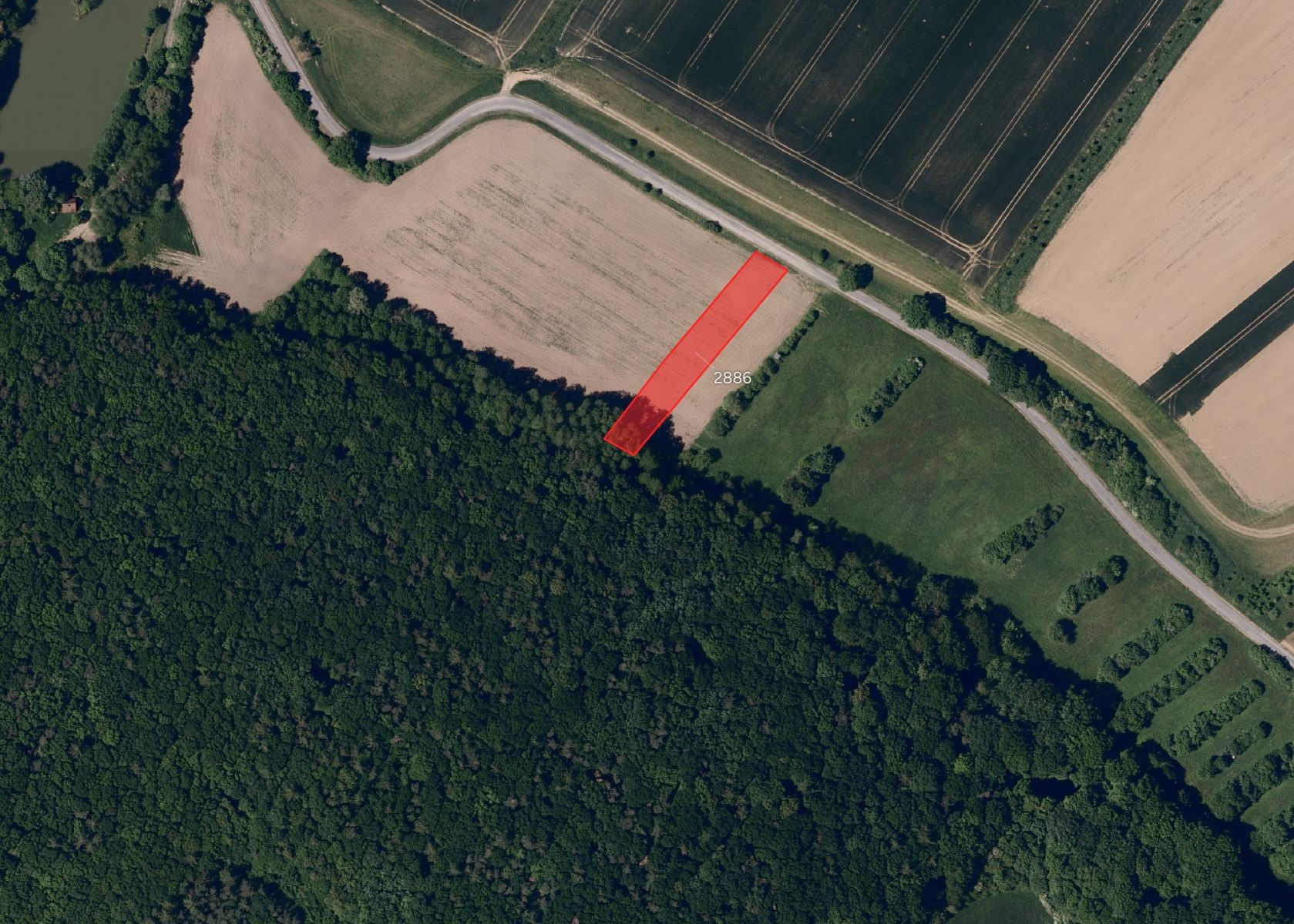 Prodej zemědělský pozemek - Komárov - 2