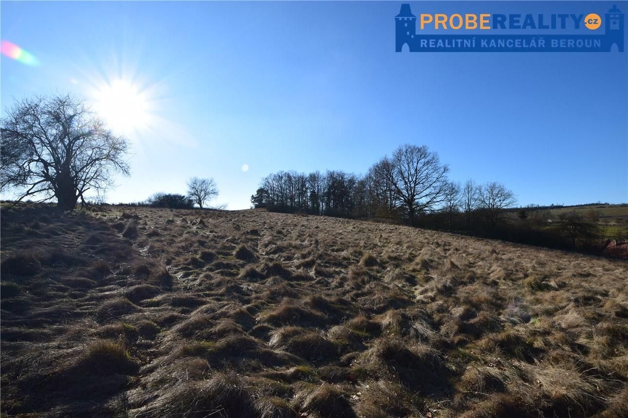 Pozemky pro bydlení, Lučkovice, Mirotice, 9 991 m²