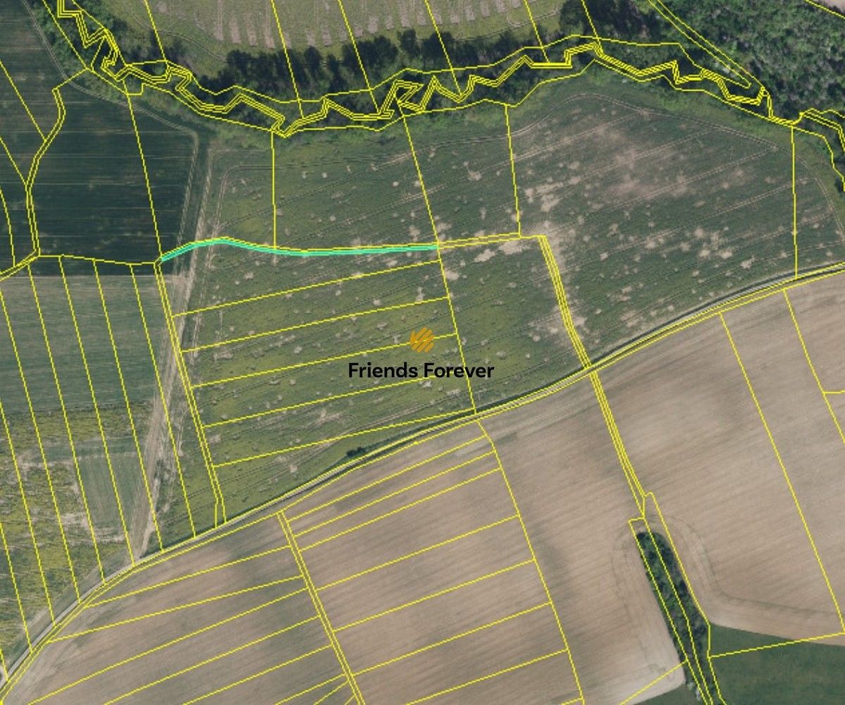 Zemědělské pozemky, Vinary, okres Ústí nad Orlicí - 2