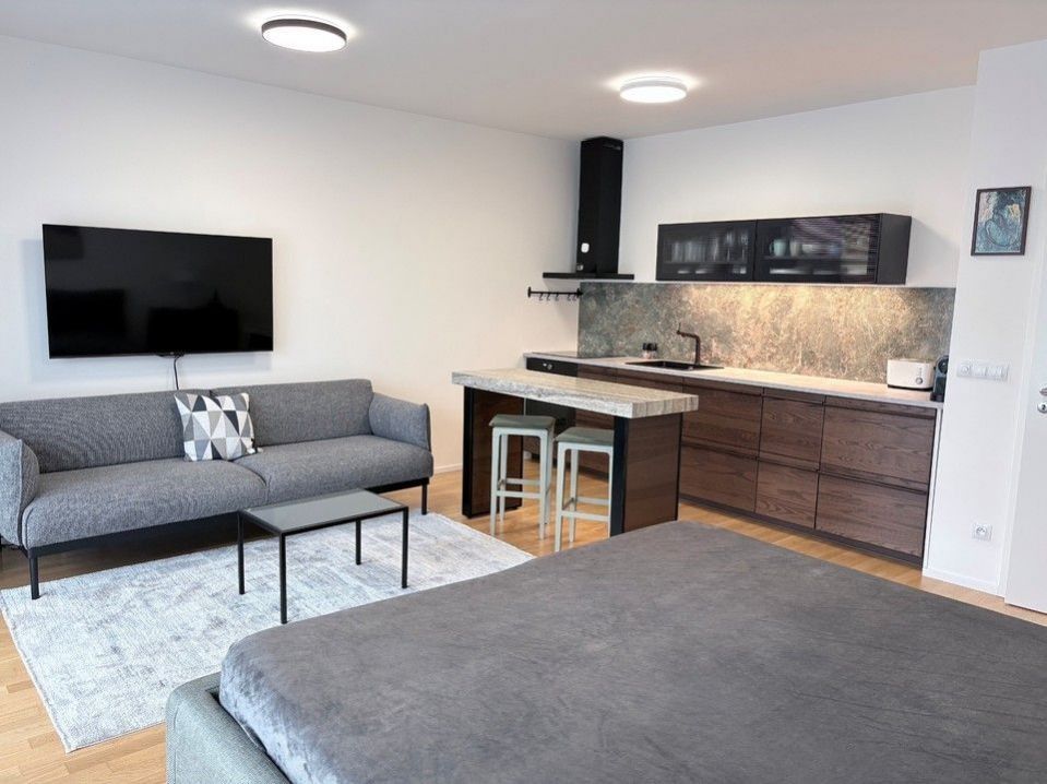1+kk, Krásova, Praha, 45 m² - 1