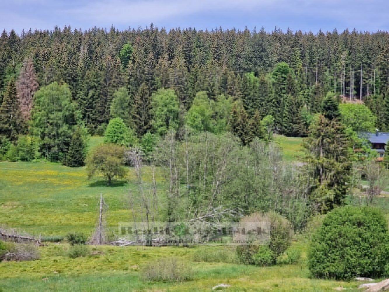 Komerční pozemek, Železná Ruda – další