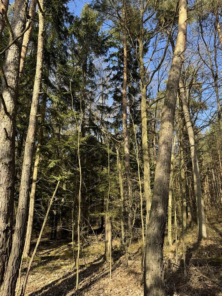 Les, 3 491 m²