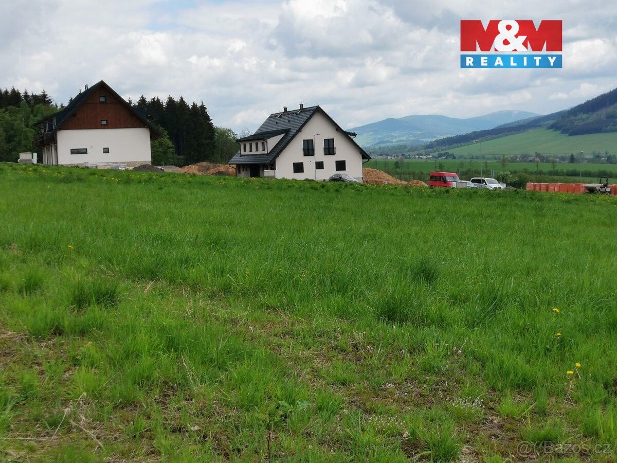 Prodej pozemek pro bydlení - Červená Voda, 561 61