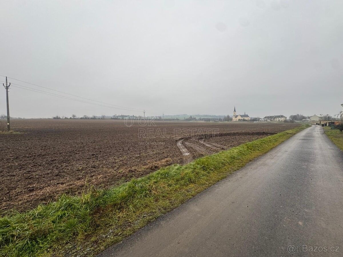 Pozemky pro bydlení, Cholina, 783 22