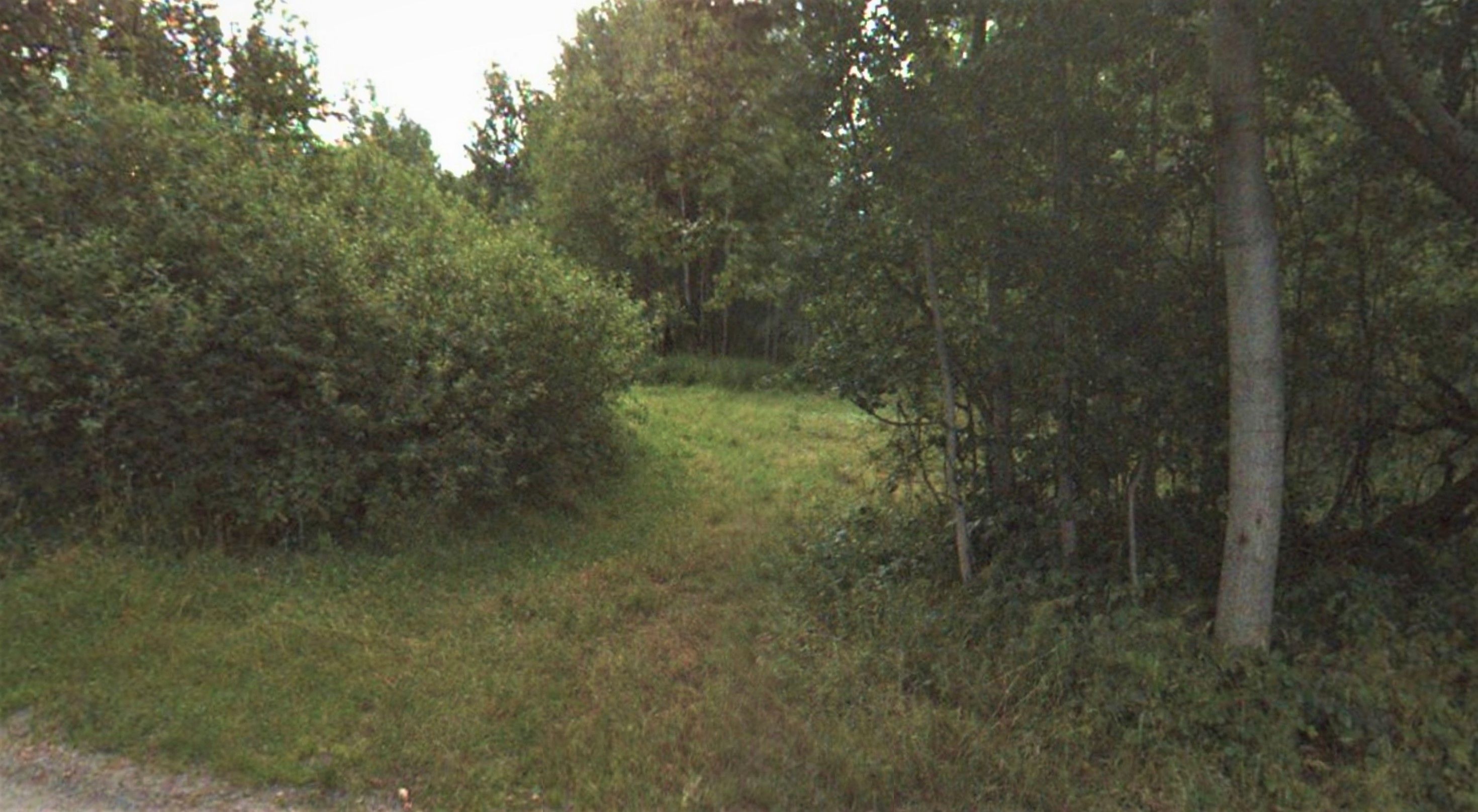 Pozemek pro bydlení · 1 522 m² · Újezd pod Přimdou, Přimda - 4