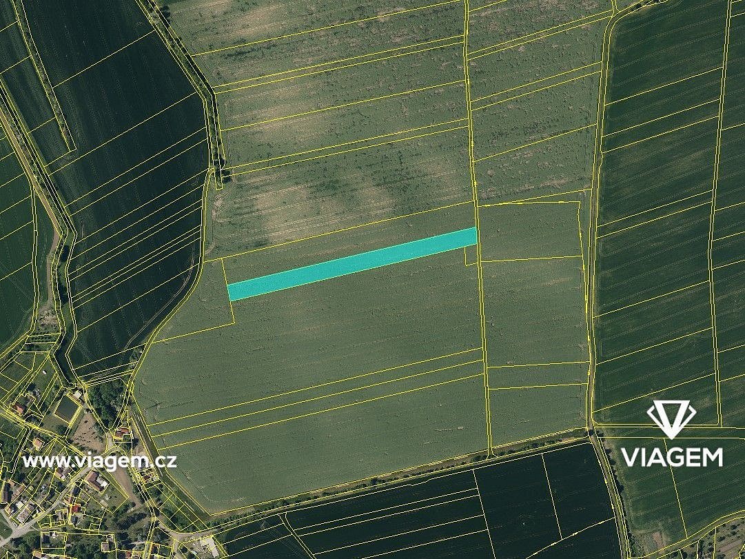 Zemědělský pozemek · Pavlovice u Kojetína, okres Prostějov - 3