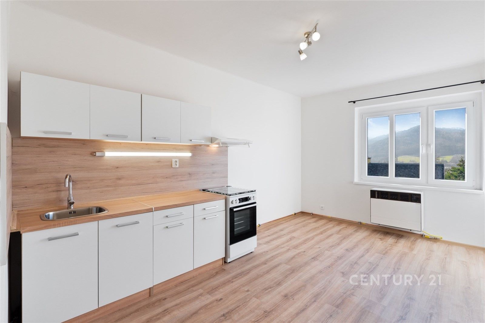 1+1, Riegrova 1172, Děčín, 37 m²