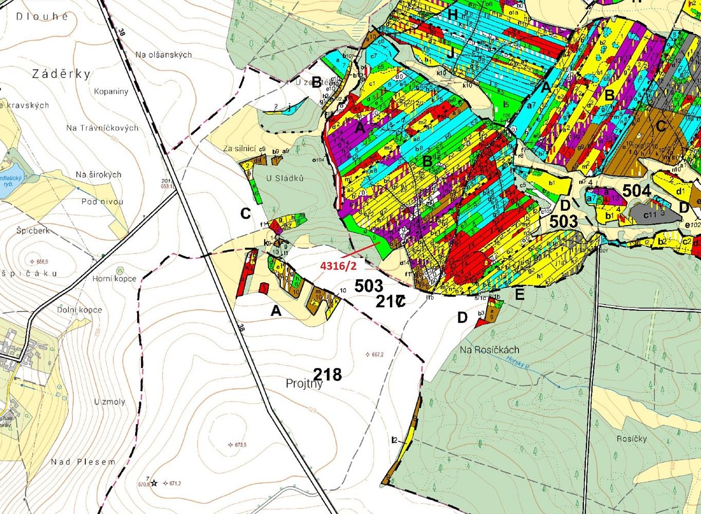 Les · Sedlatice, okres Jihlava, Kraj Vysočina - 3