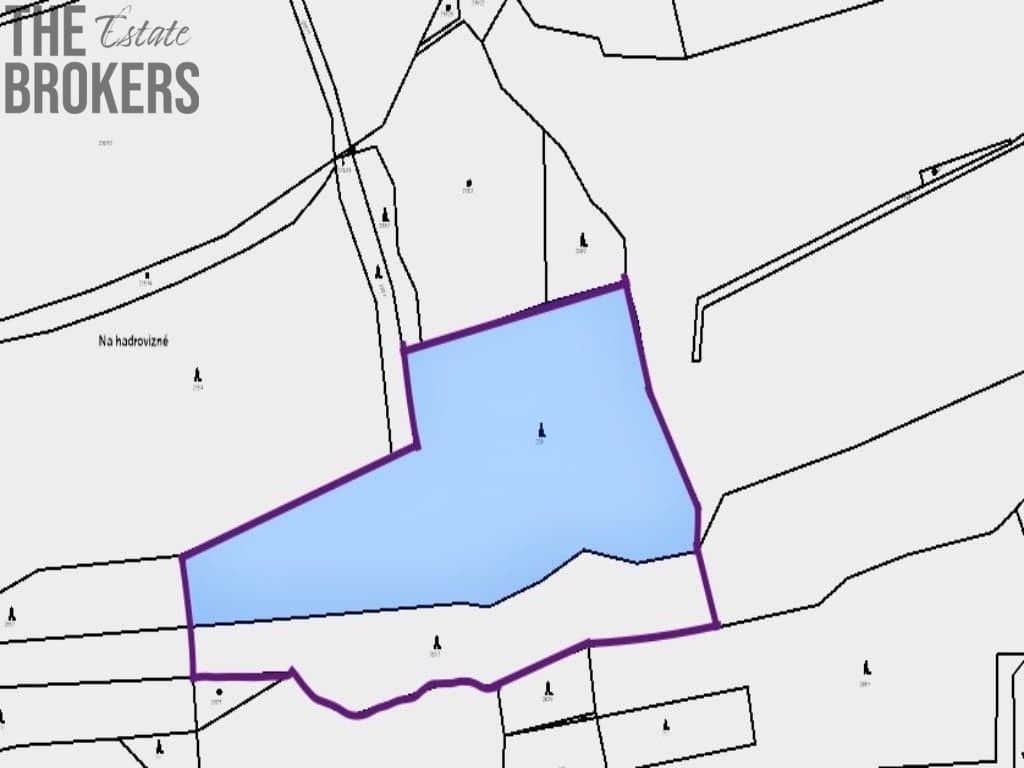 Les · 21 836 m² · Hracholusky - 3