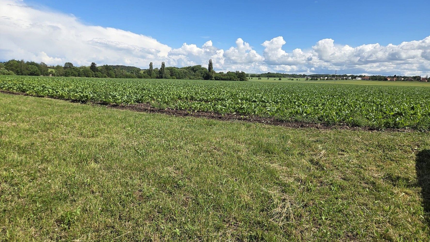 Pozemek pro bydlení · Klučov, okres Kolín, Středočeský kraj - 4
