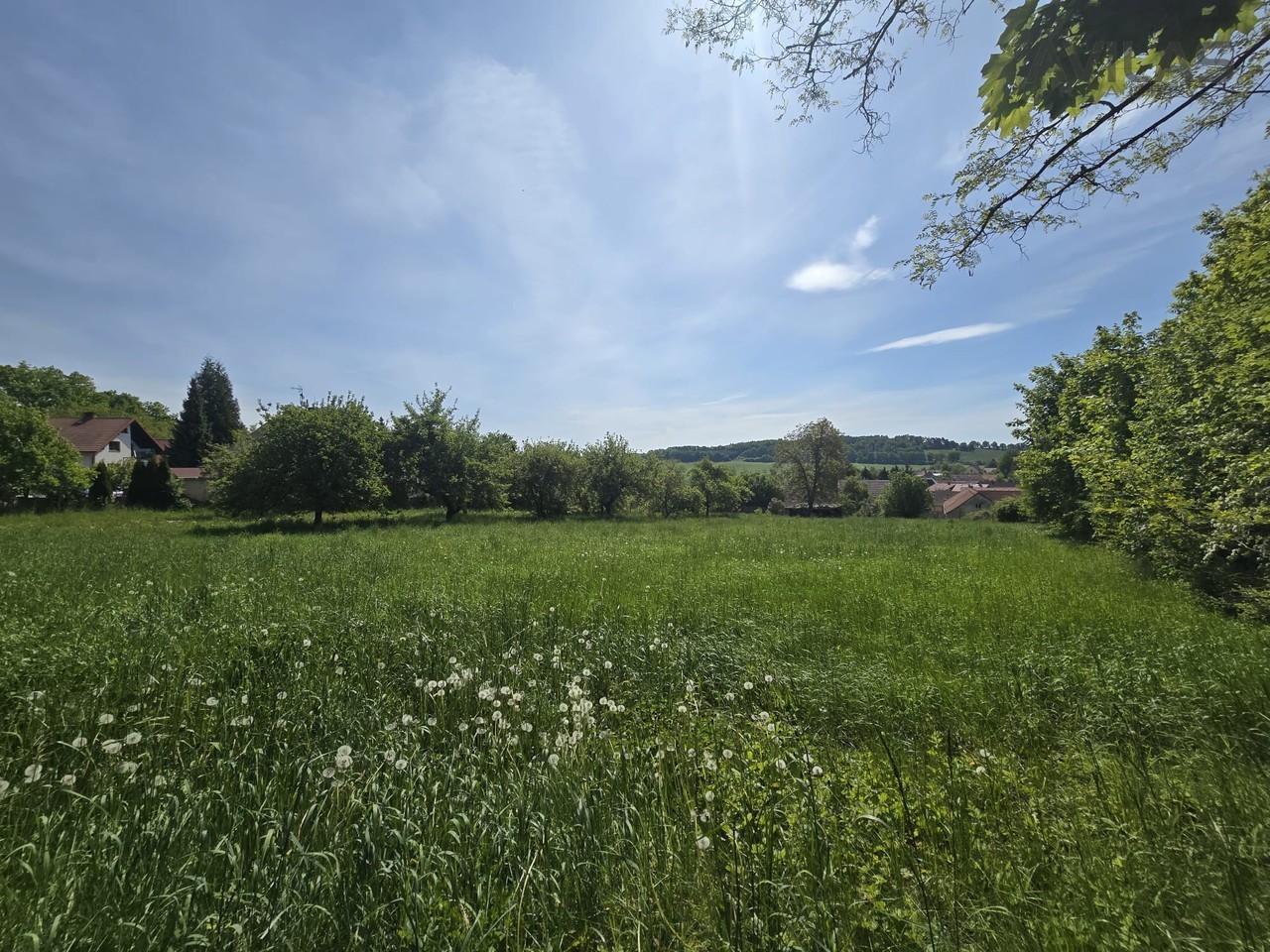 Pozemek pro bydlení · 731 m² · Maršovice - 4