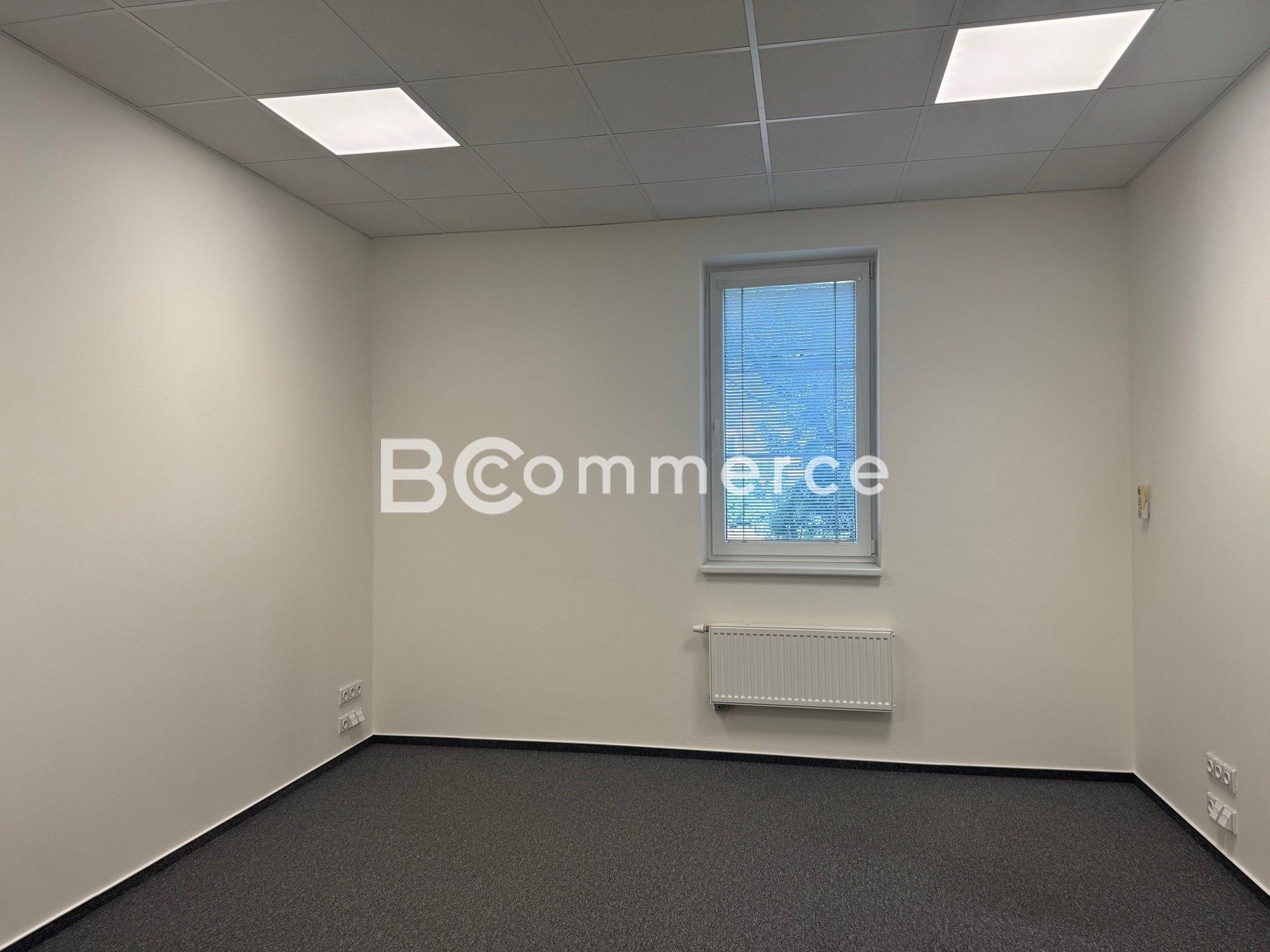 Kanceláře, Černovice, Brno, 18 m²