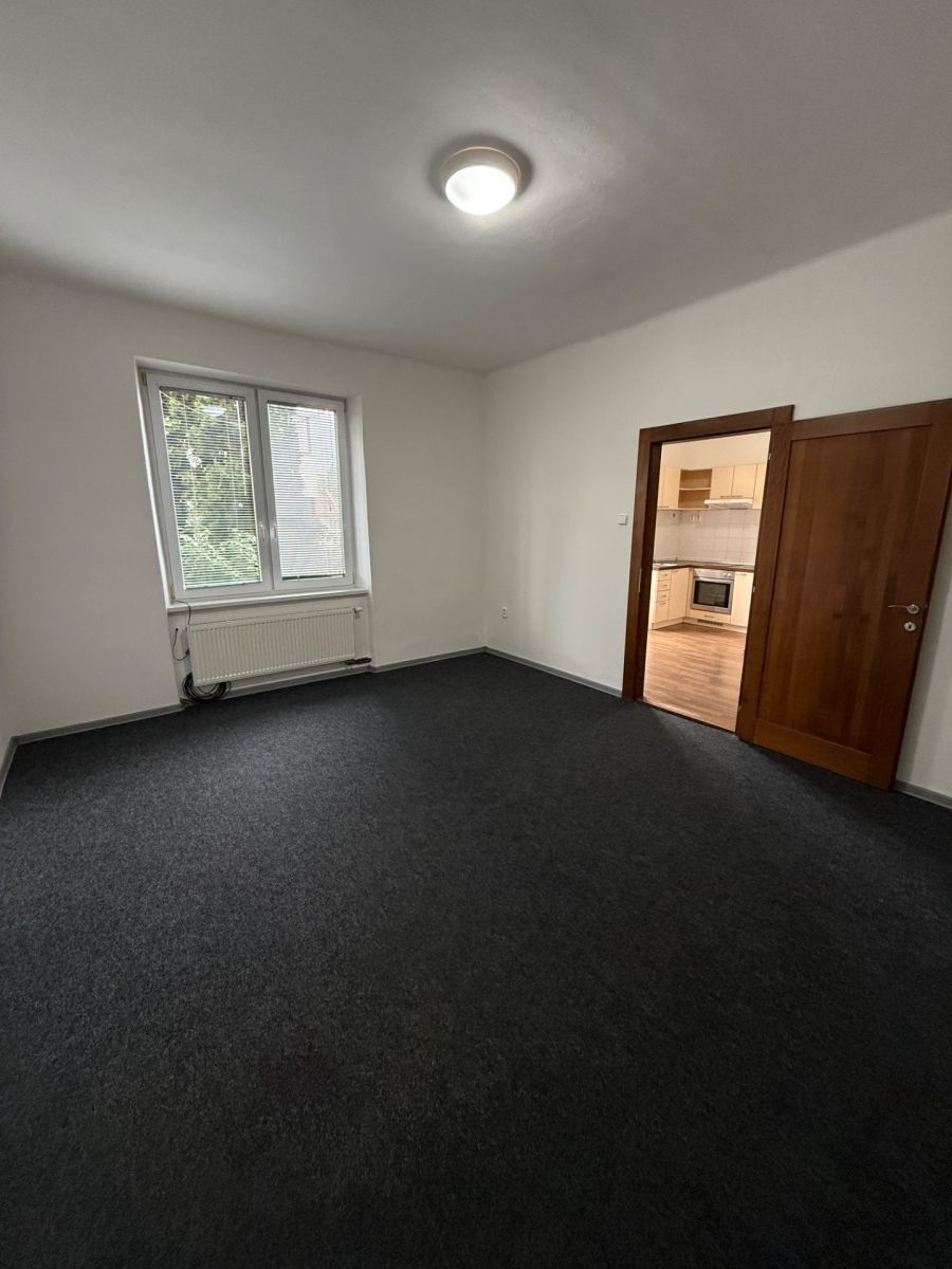 Byt 1+1 · 45 m² · Puškinova, Prostějov - Prostějov, Olomoucký kraj - 3