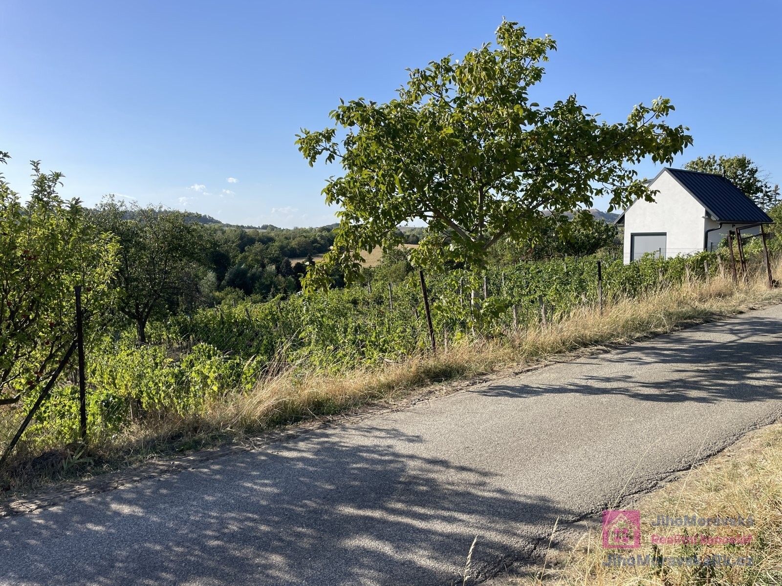 Zahrady, Nová, Mikulov, 1 256 m² - 2