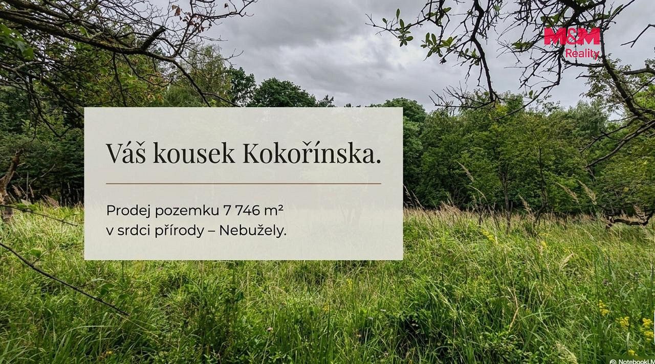 Zemědělské pozemky, Nebužely, okres Mělník, Středočeský kraj - 2