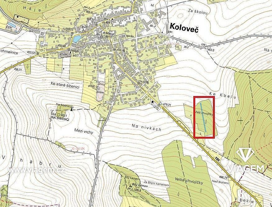 Les · Koloveč, okres Domažlice, Plzeňský kraj - 4