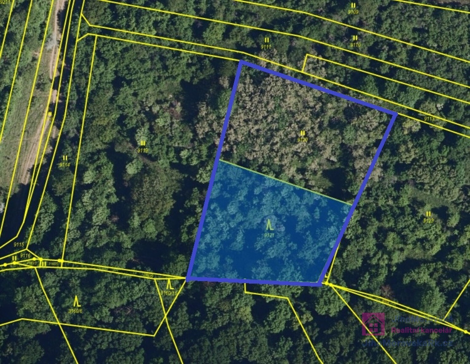 Les · 4 858 m² · Klobouky u Brna - 3