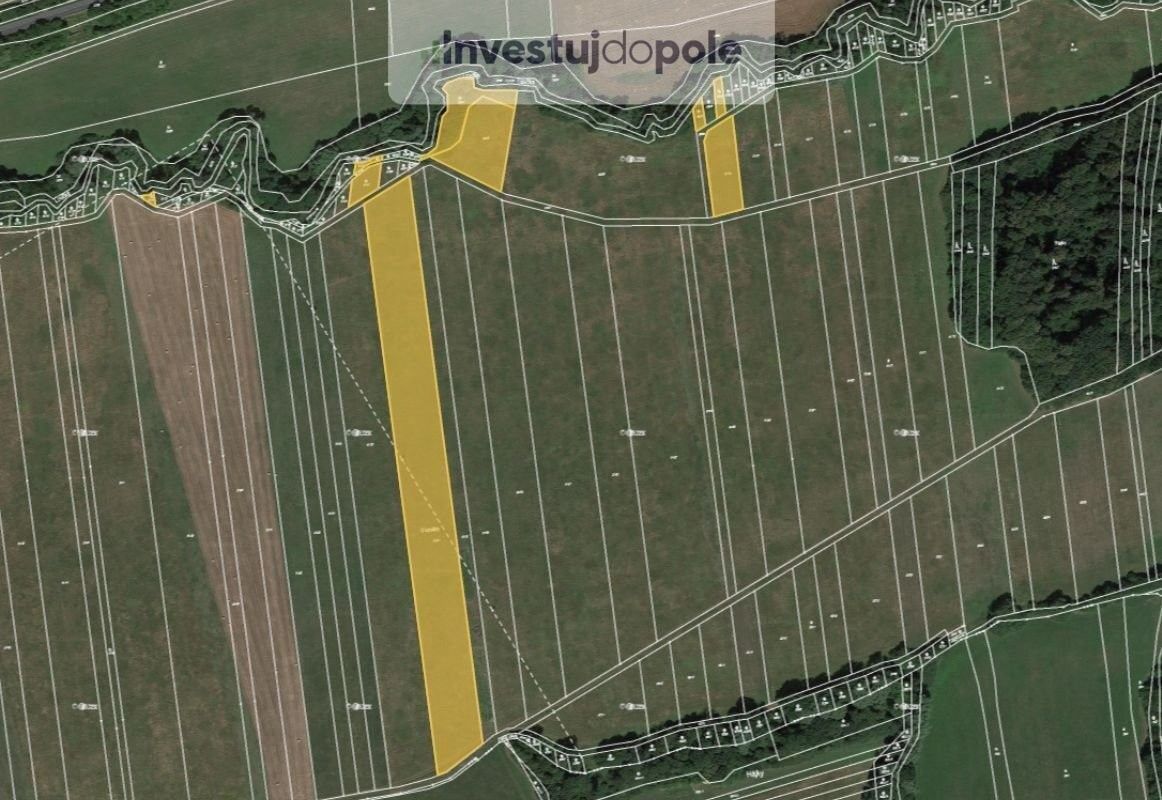 Prodej zemědělský pozemek - Loučka u Valašského Meziříčí, 756 44, 13 643 m²