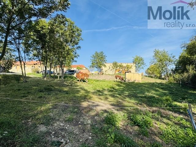 Prodej pozemek pro bydlení - Lipenec, Lipno, 852 m² - 5