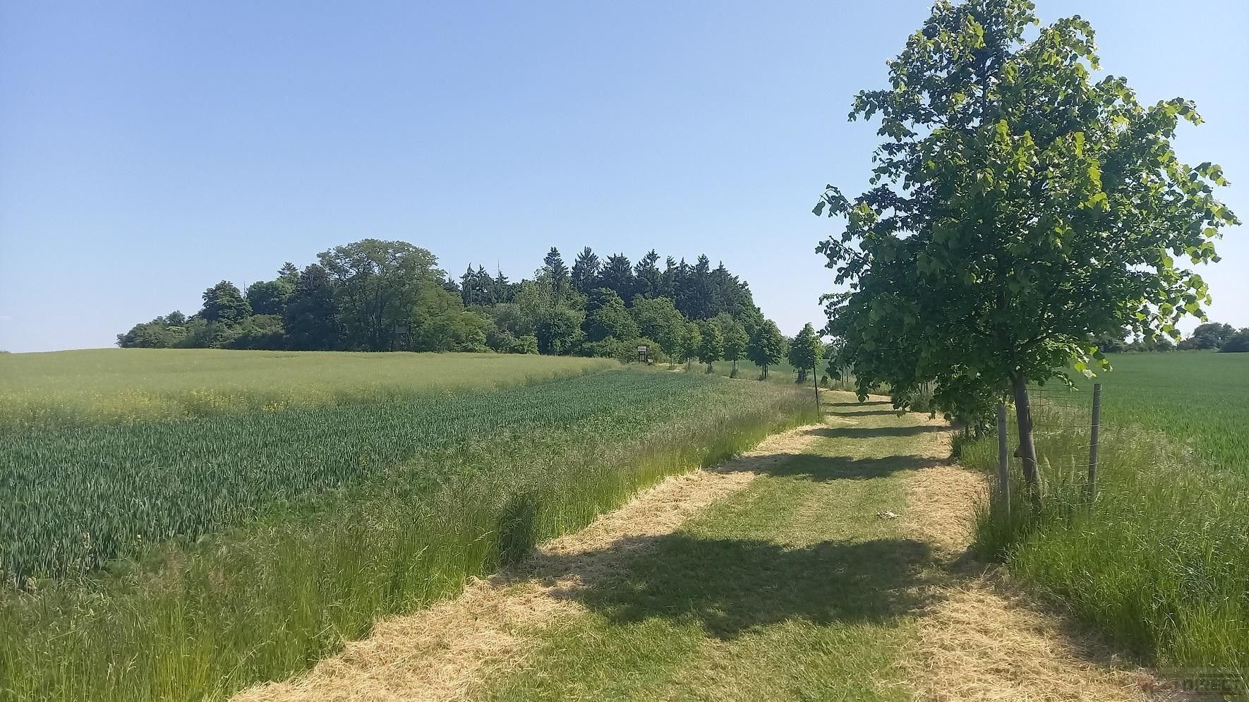 Prodej zemědělský pozemek - Říčanská, Čestlice, 3 118 m²