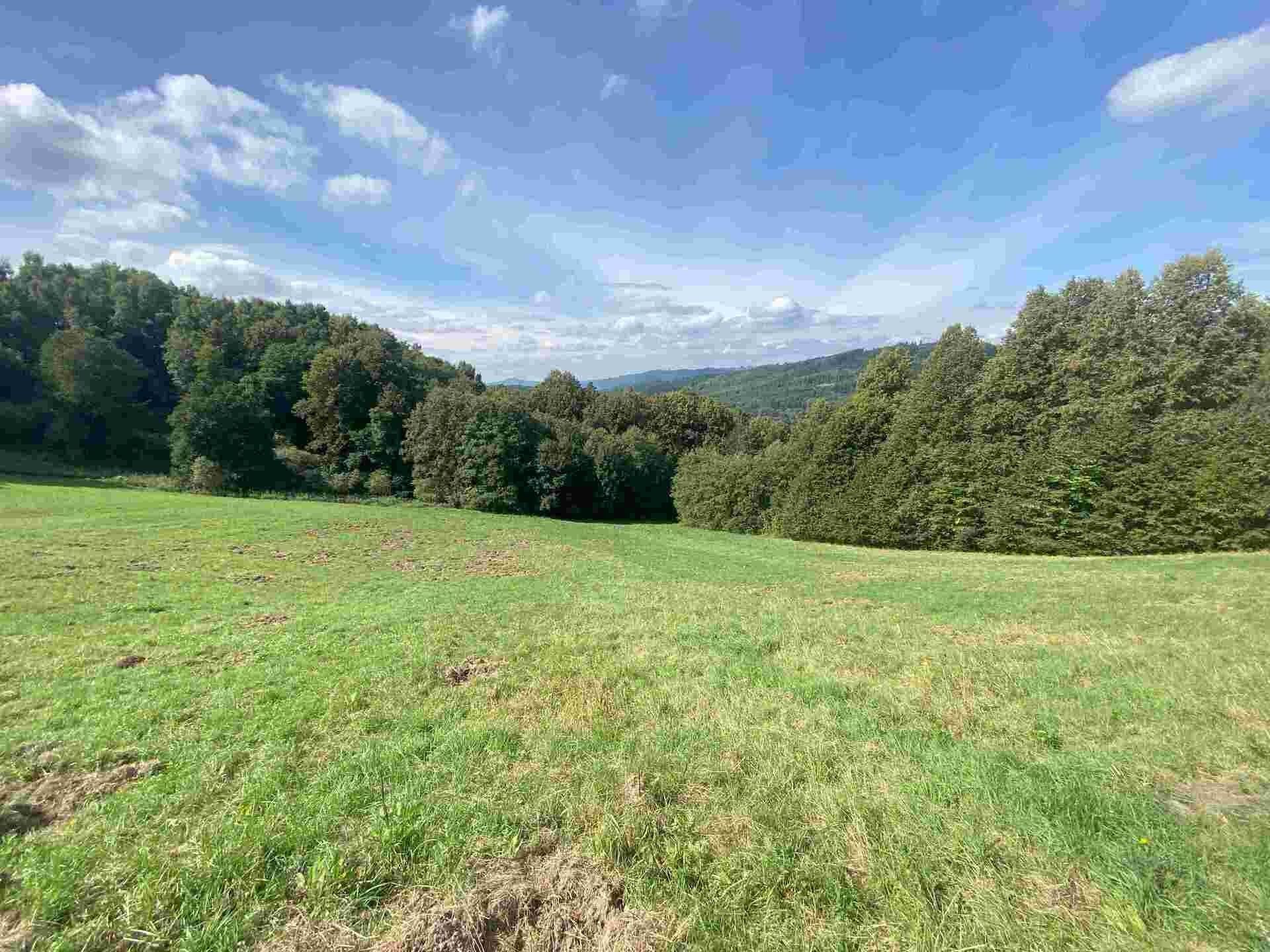 Prodej pozemek - Sobotín, 10 m²