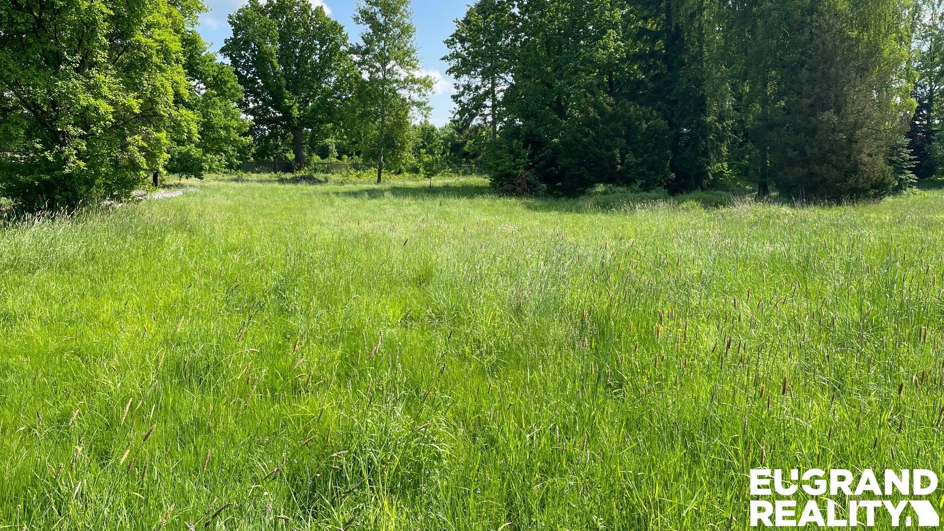 Pozemek pro bydlení · 15 799 m² · Šluknov - 4