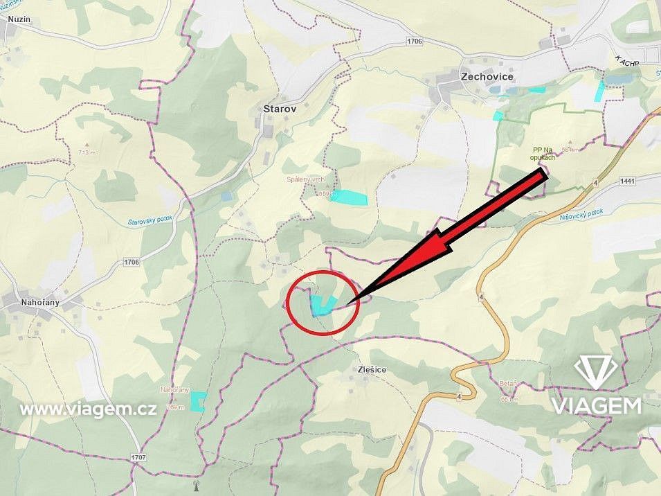 Les · Volyně, okres Strakonice, Jihočeský kraj - 3