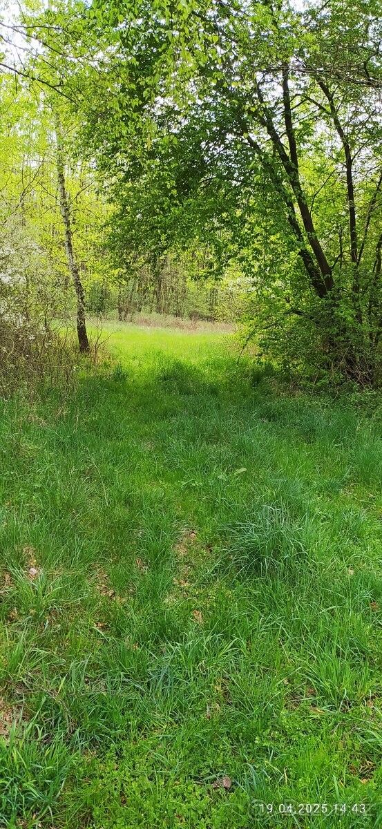 Pozemky pro bydlení, Hradištko, 289 12