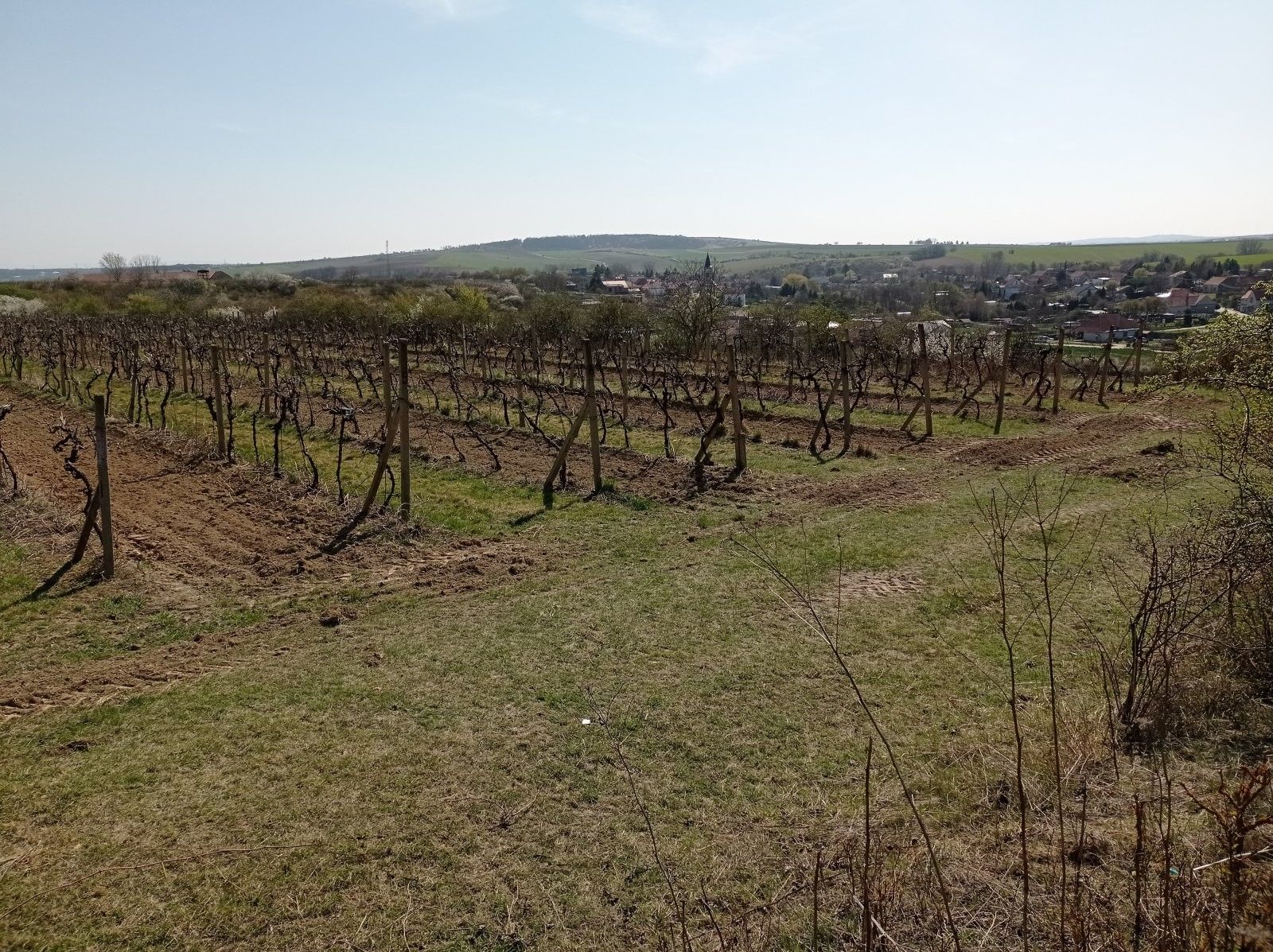 Pozemek · 3 162 m² · Valtice Úvaly - 4