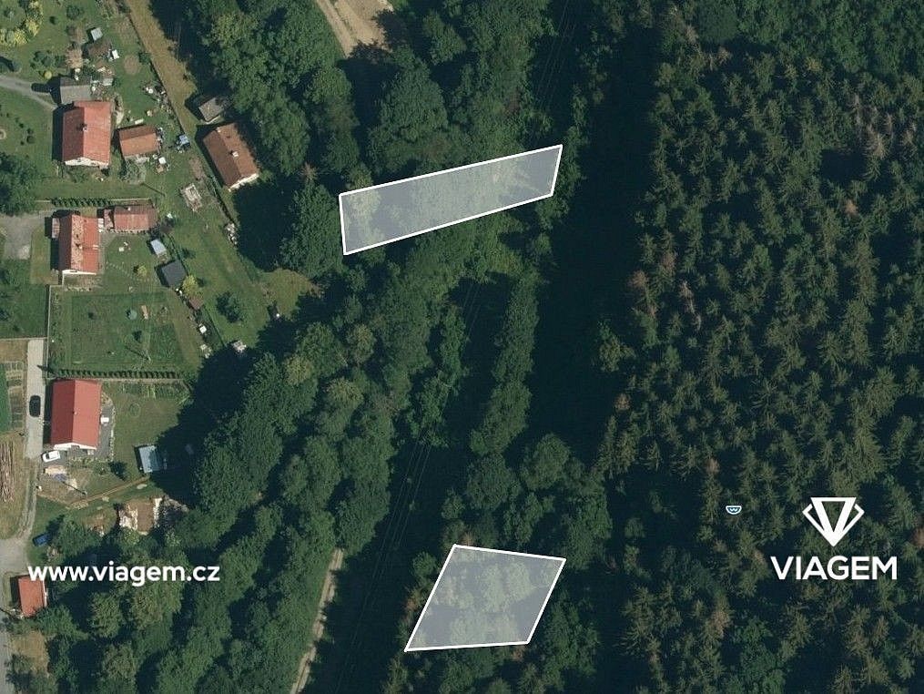 Les · Růžďka, okres Vsetín, Zlínský kraj - 2