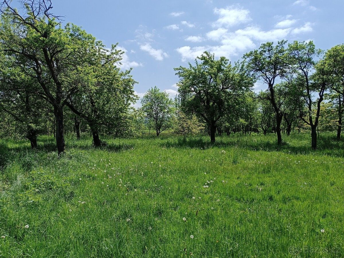 Pozemky pro bydlení, Jílovice u Trhových Svin, 373 32 - 1