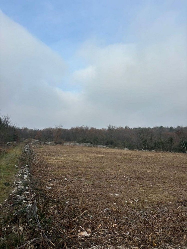 Pozemek pro bydlení, 1 295 m²