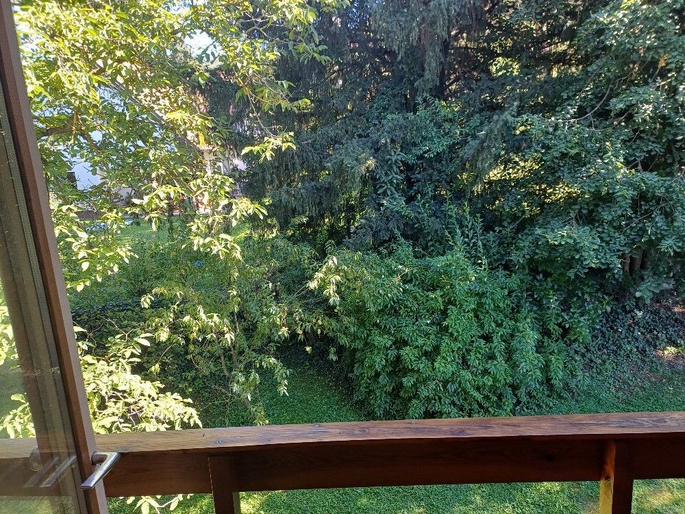Pronájem rodinný dům - K Lomu, Dobřichovice - Dobřichovice, Středočeský kraj, 93 m² - 5