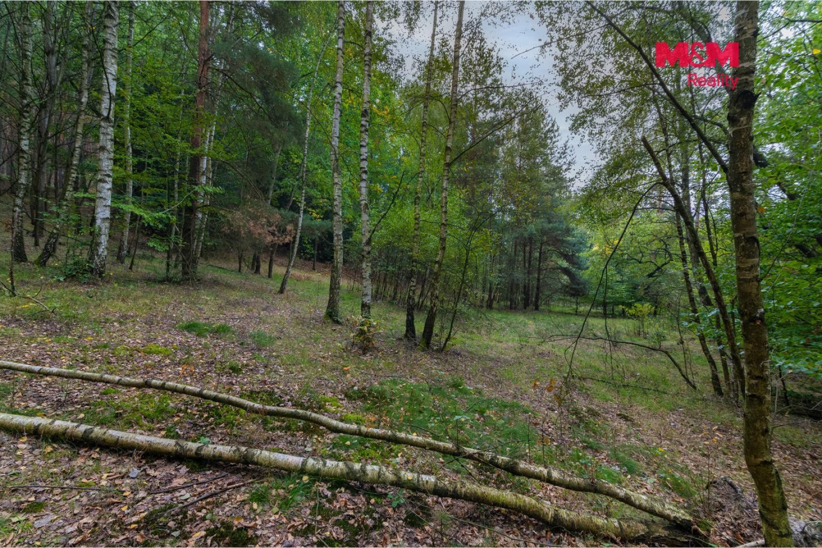 Prodej zemědělský pozemek - Blíževedly - 5