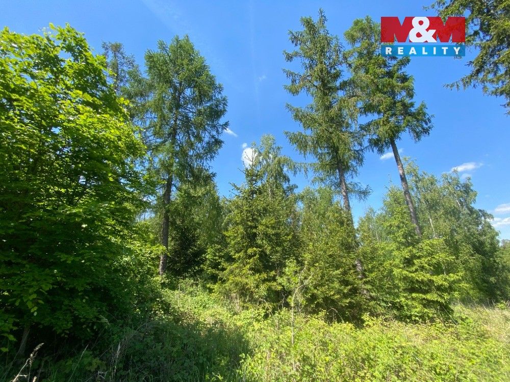 Stavební pozemek, Košátky – pohled 2
