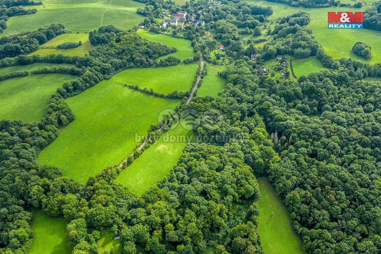 Prodej les - Homole u Panny - Suletice, okres Ústí nad Labem, Ústecký kraj - 5