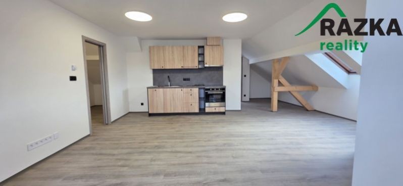 Byt 1+kk, 54 m²