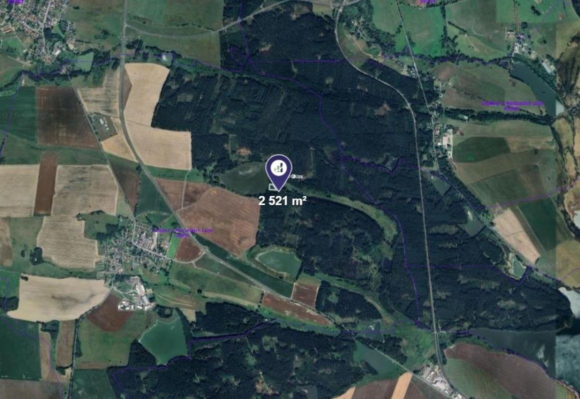 Prodej louka - Trstěnice - 2