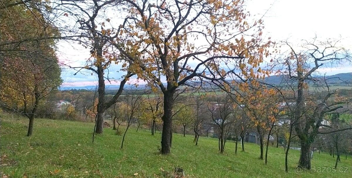 Zahrady, Holešov, 769 01