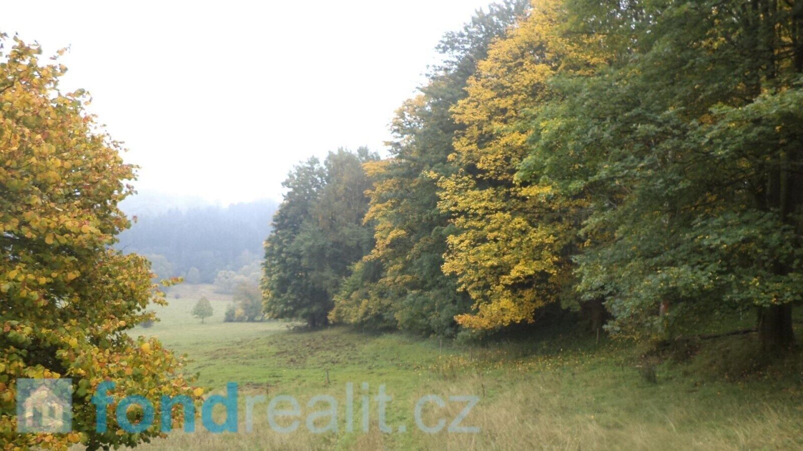 Zemědělské pozemky, Přimda, 35 m²