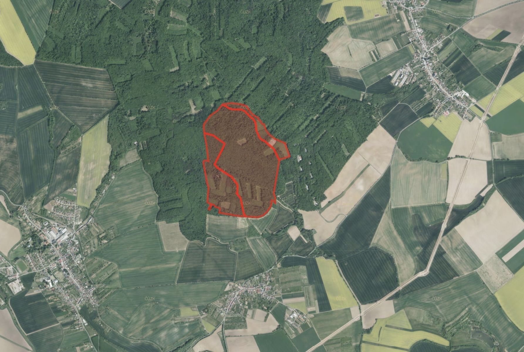 Lesy, Nětčice, Zdounky